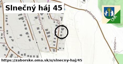 Slnečný háj 45, Záborské