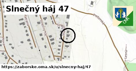 Slnečný háj 47, Záborské