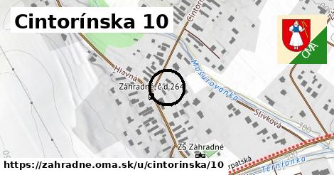 Cintorínska 10, Záhradné