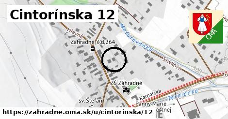 Cintorínska 12, Záhradné