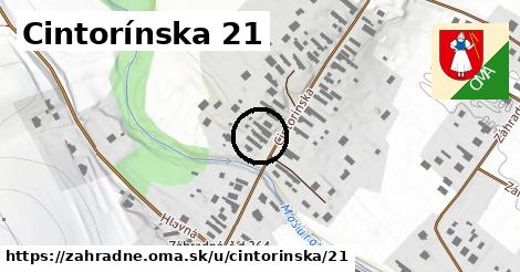 Cintorínska 21, Záhradné