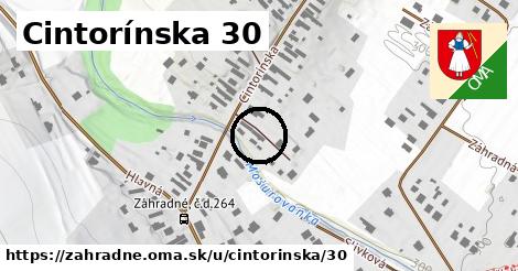 Cintorínska 30, Záhradné