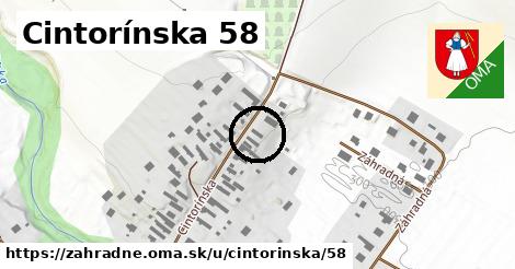 Cintorínska 58, Záhradné
