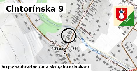 Cintorínska 9, Záhradné