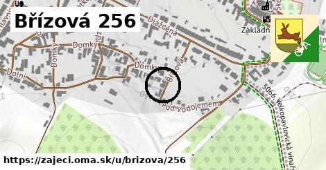 Břízová 256, Zaječí