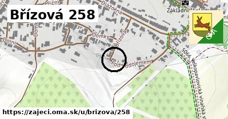 Břízová 258, Zaječí