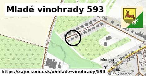 Mladé vinohrady 593, Zaječí