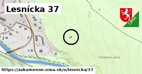 Lesnícka 37, Zákamenné