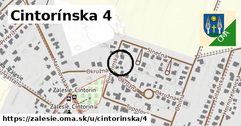 Cintorínska 4, Zálesie