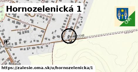 Hornozelenická 1, Zálesie