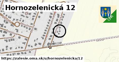 Hornozelenická 12, Zálesie