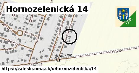 Hornozelenická 14, Zálesie