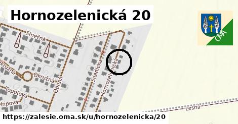 Hornozelenická 20, Zálesie