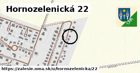 Hornozelenická 22, Zálesie