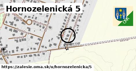 Hornozelenická 5, Zálesie