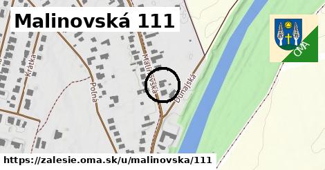 Malinovská 111, Zálesie