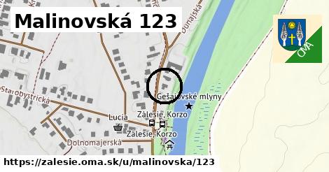 Malinovská 123, Zálesie