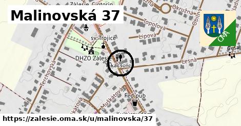 Malinovská 37, Zálesie