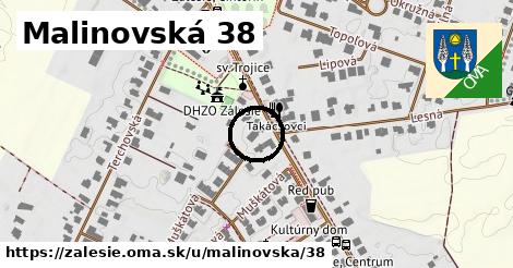 Malinovská 38, Zálesie