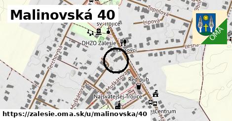 Malinovská 40, Zálesie