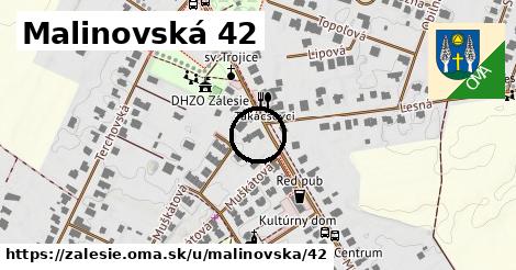 Malinovská 42, Zálesie