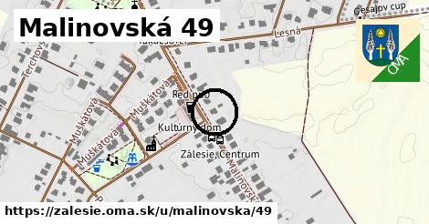 Malinovská 49, Zálesie