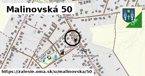 Malinovská 50, Zálesie