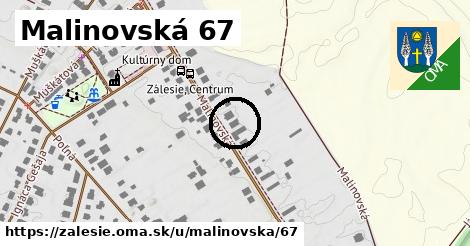 Malinovská 67, Zálesie