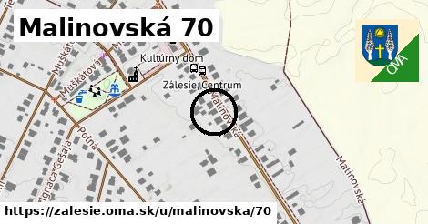 Malinovská 70, Zálesie