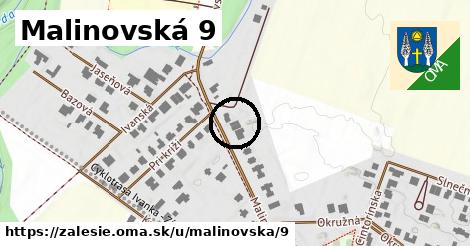 Malinovská 9, Zálesie