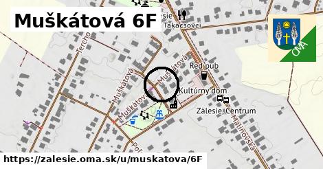 Muškátová 6F, Zálesie