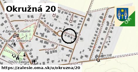 Okružná 20, Zálesie