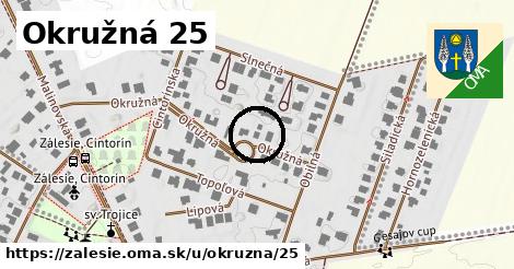 Okružná 25, Zálesie