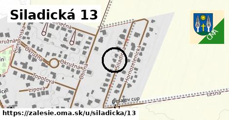 Siladická 13, Zálesie