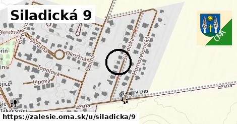 Siladická 9, Zálesie