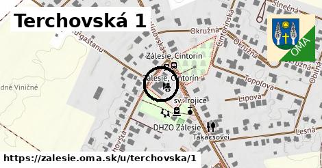 Terchovská 1, Zálesie
