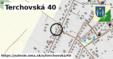 Terchovská 40, Zálesie