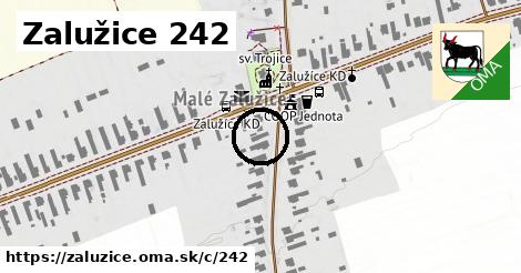 Zalužice <span class="supisne">242</span>