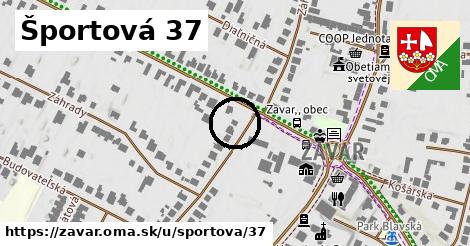 Športová 37, Zavar