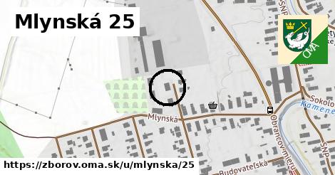 Mlynská 25, Zborov