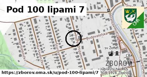 Pod 100 lipami 7, Zborov