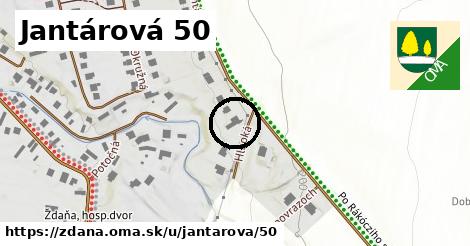 Jantárová 50, Ždaňa