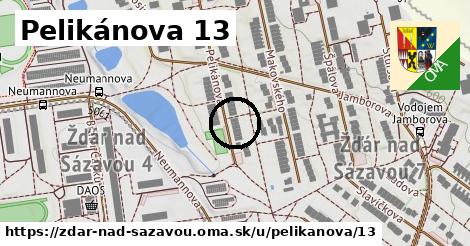 Pelikánova 13, Žďár nad Sázavou