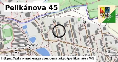 Pelikánova 45, Žďár nad Sázavou