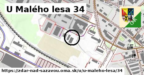 U Malého lesa 34, Žďár nad Sázavou