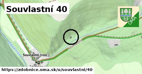 Souvlastní 40, Zdobnice