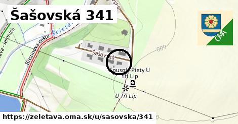 Šašovská 341, Želetava