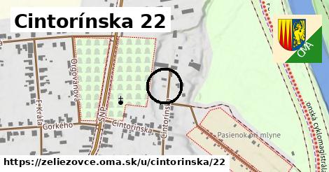 Cintorínska 22, Želiezovce