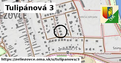 Tulipánová 3, Želiezovce