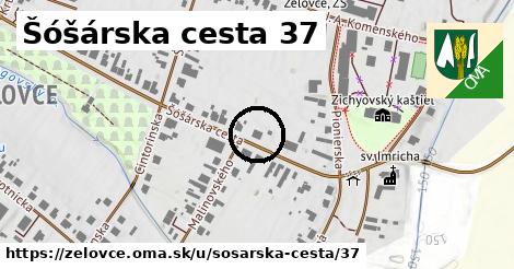 Šóšárska cesta 37, Želovce